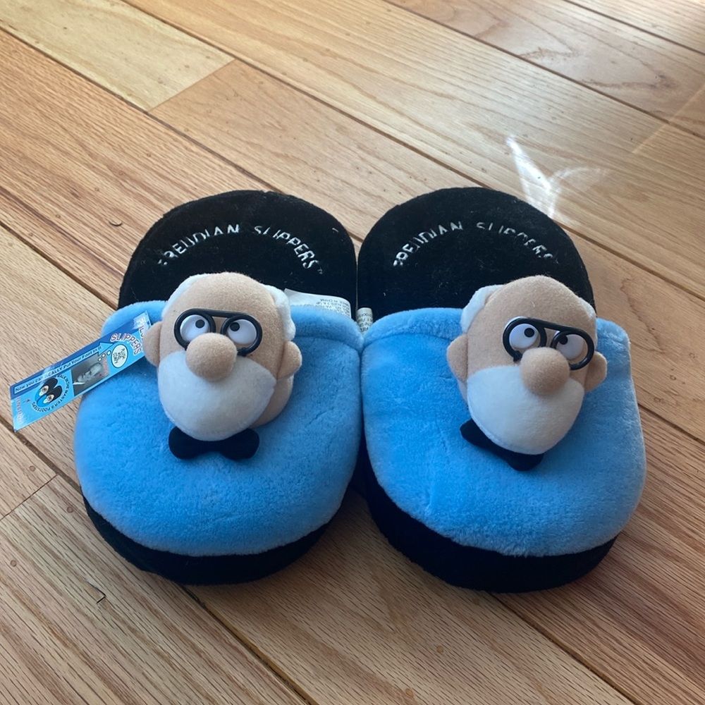 Freudian Slippers